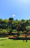 Туры в отель Hangzhou Rose Garden Resort Туры в отель Hangzhou Rose Garden Resort