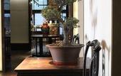 Туры в отель the Hidden Place Hotel Туры в отель the Hidden Place Hotel