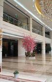 Туры в отель Jiutong Haiyuan International Hotel Туры в отель Jiutong Haiyuan International Hotel