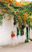 Туры в отель Guxin Hotel Туры в отель Guxin Hotel