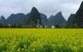 Туры в отель Eden Inn (Yangshuo Yulong River Scenic Area Branch) Туры в отель Eden Inn (Yangshuo Yulong River Scenic Area Branch)