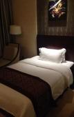 Туры в отель Starway Hotel (Hangzhou Qianjiang Shijicheng) Туры в отель Starway Hotel (Hangzhou Qianjiang Shijicheng)