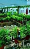 Туры в отель Dalian Star Rain Hotel Туры в отель Dalian Star Rain Hotel