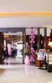 Туры в отель Dongguan Well Garden Hotel Туры в отель Dongguan Well Garden Hotel
