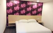 Туры в отель BAO HOUSE Туры в отель BAO HOUSE