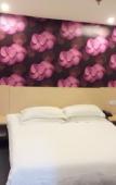 Туры в отель BAO HOUSE Туры в отель BAO HOUSE