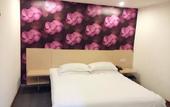 Туры в отель BAO HOUSE Туры в отель BAO HOUSE