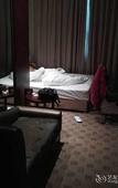 Туры в отель Jin Tai Long International Hotel Туры в отель Jin Tai Long International Hotel