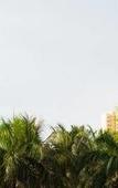 Туры в отель Jiangwan Seaview Hotel (Hainan University) Туры в отель Jiangwan Seaview Hotel (Hainan University)