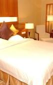 Туры в отель Jin Feng Hotel Туры в отель Jin Feng Hotel