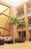 Туры в отель Jinan Huangtai Hotel Туры в отель Jinan Huangtai Hotel