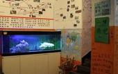 Туры в отель OLD STREET YUN ZHU HOTEL Туры в отель OLD STREET YUN ZHU HOTEL