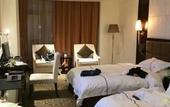 Туры в отель ZHONGZHOU INTERNATIONAL HOTEL Туры в отель ZHONGZHOU INTERNATIONAL HOTEL