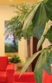 Туры в отель Home Inn Business Hotel (Hangzhou, Hufang Street, Jiangcheng Road Subway Station) Туры в отель Home Inn Business Hotel (Hangzhou, Hufang Street, Jiangcheng Road Subway Station)