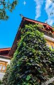 Туры в отель Lijiang Palace Hotel Туры в отель Lijiang Palace Hotel