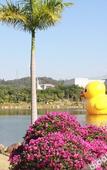 Туры в отель Quanzhou Guesthouse Туры в отель Quanzhou Guesthouse
