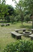 Туры в отель Enping Jinjiang Hotspring Hotel Туры в отель Enping Jinjiang Hotspring Hotel