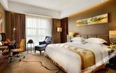 Туры в отель Tangent Hotel Туры в отель Tangent Hotel