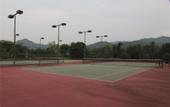Туры в отель Yinfeng Holiday Resort Туры в отель Yinfeng Holiday Resort