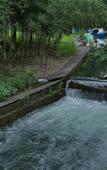 Туры в отель Yinfeng Holiday Resort Туры в отель Yinfeng Holiday Resort