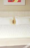 Туры в отель Magnotel Hotel (Yangzhou East High Speed Railway Station) Туры в отель Magnotel Hotel (Yangzhou East High Speed Railway Station)