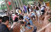Туры в отель Guanlan Shanshuitianyuan Tourism Culture Garden Туры в отель Guanlan Shanshuitianyuan Tourism Culture Garden