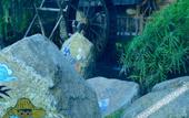 Туры в отель Guanlan Shanshuitianyuan Tourism Culture Garden Туры в отель Guanlan Shanshuitianyuan Tourism Culture Garden