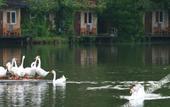 Туры в отель Guanlan Shanshuitianyuan Tourism Culture Garden Туры в отель Guanlan Shanshuitianyuan Tourism Culture Garden