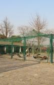 Туры в отель Tangpo Hot Spring Resort Туры в отель Tangpo Hot Spring Resort