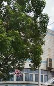 Туры в отель Lichen Hotel Туры в отель Lichen Hotel