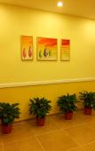 Туры в отель Homeinn Pebble Hotel (Wuhan Xiehe Hospital Jiang han road) Туры в отель Homeinn Pebble Hotel (Wuhan Xiehe Hospital Jiang han road)