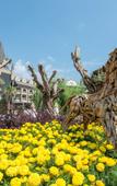 Туры в отель Crystal Prestige Elite Hotel Туры в отель Crystal Prestige Elite Hotel