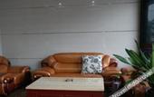 Туры в отель Xinye Business Hotel Туры в отель Xinye Business Hotel
