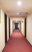 Туры в отель GreenTree Inn (Xinji Shifu Street) Туры в отель GreenTree Inn (Xinji Shifu Street)