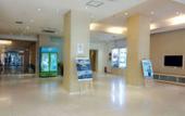 Туры в отель HanTing Hotel (Lanzhou Chengguan Wanda Plaza) Туры в отель HanTing Hotel (Lanzhou Chengguan Wanda Plaza)