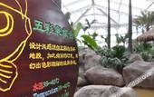 Туры в отель Hengshui Taihua Boyue Hotel Туры в отель Hengshui Taihua Boyue Hotel