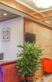 Туры в отель Xinzun Hotel (Leshan Station Jiaxing Road Food Street Store) Туры в отель Xinzun Hotel (Leshan Station Jiaxing Road Food Street Store)