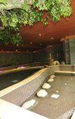 Туры в отель Zhongwang Hot Spring Hotel Туры в отель Zhongwang Hot Spring Hotel