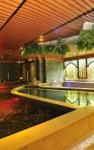 Туры в отель Zhongwang Hot Spring Hotel Туры в отель Zhongwang Hot Spring Hotel