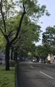 Туры в отель Home Inn (Taian Longtan Road Hotel) Туры в отель Home Inn (Taian Longtan Road Hotel)