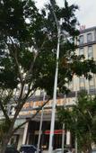 Туры в отель Huizhou Yijiasheng Hotel (Huicheng Jiangbei Municipal Government Branch) Туры в отель Huizhou Yijiasheng Hotel (Huicheng Jiangbei Municipal Government Branch)