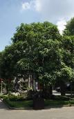 Туры в отель Taoran Hillseides Hotel Туры в отель Taoran Hillseides Hotel