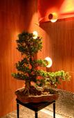 Туры в отель Jindi Mingting Hotel Туры в отель Jindi Mingting Hotel