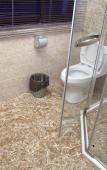 Туры в отель Tuke China Qingju Hotel(Dongtou) Туры в отель Tuke China Qingju Hotel(Dongtou)