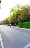 Туры в отель Xihu 78 Lagerstroemia boutique hotel Туры в отель Xihu 78 Lagerstroemia boutique hotel