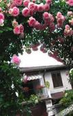 Туры в отель Xihu 78 Lagerstroemia boutique hotel Туры в отель Xihu 78 Lagerstroemia boutique hotel