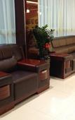 Туры в отель Shankee Express Hotel (Guangzhou Shiling Dongsheng Commercial Pedestrian Street) Туры в отель Shankee Express Hotel (Guangzhou Shiling Dongsheng Commercial Pedestrian Street)