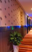 Туры в отель Zizhu Chuntian Hotel Туры в отель Zizhu Chuntian Hotel