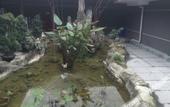 Туры в отель Baguo Garden Hotel Туры в отель Baguo Garden Hotel