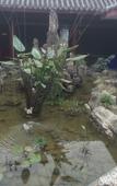 Туры в отель Baguo Garden Hotel Туры в отель Baguo Garden Hotel